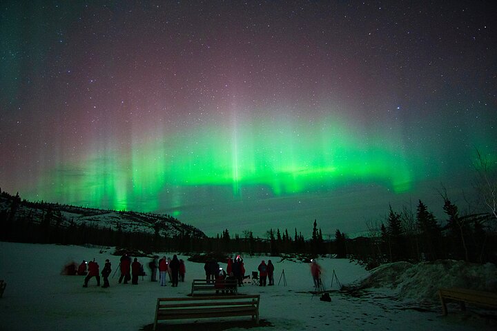 Arctic Day: Aurora Viewing Tour | late night