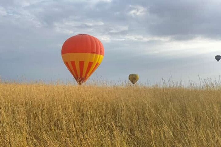 Balloon Safari in Maasai Mara