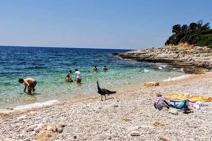 Private Seagull Rocks and Blue Cave Snorkeling in Pula