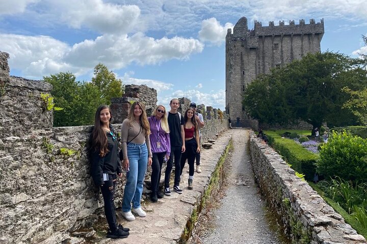 Easy Access Blarney Stone and Castle Gardens Tour