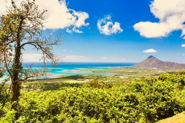 Wild South West Tour : SAFARI & TULAWAKA CASELA PARK & LE MORNE