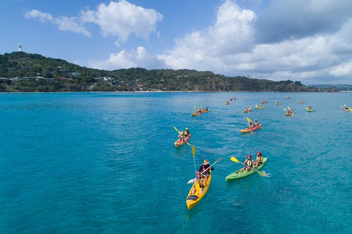 Kayaking with Dolphins in Byron Bay Guided Tour