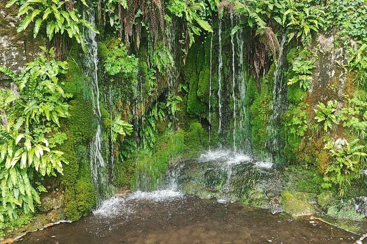 Blarney Castle Cork City and Jameson Distillery Small groups