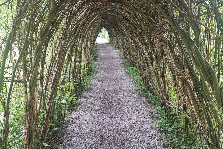 Blarney Castle Cork City and Jameson Distillery Small groups