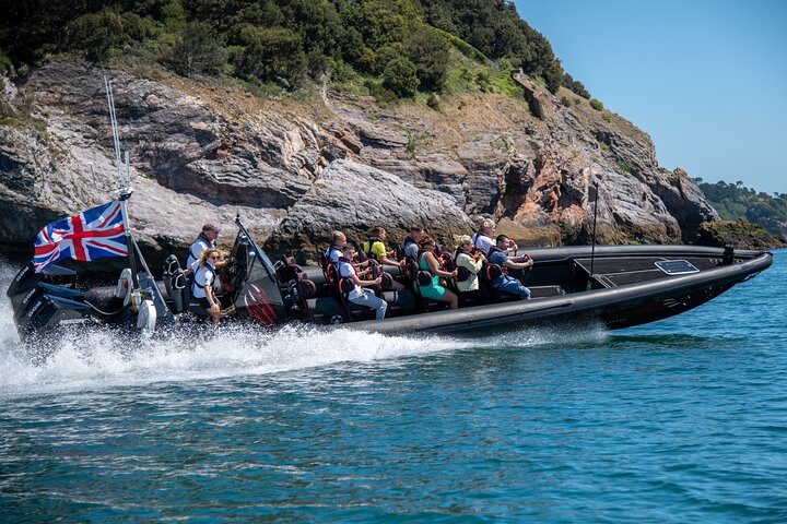 30 Minute Raptor RIB Ride Activity in Torquay