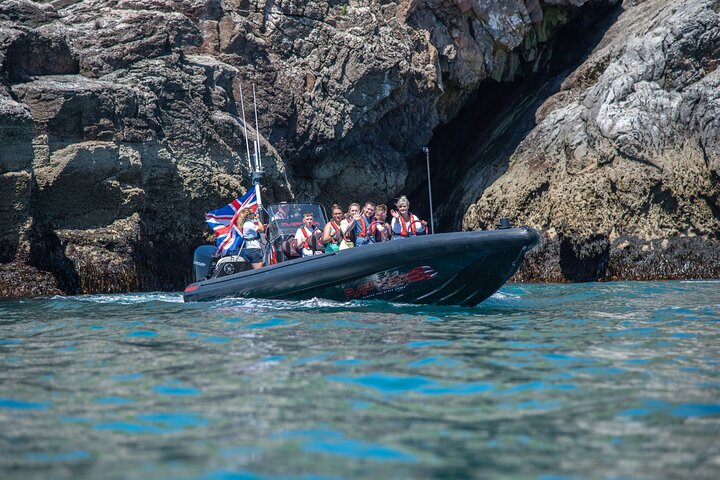 30 Minute Raptor RIB Ride Activity in Torquay