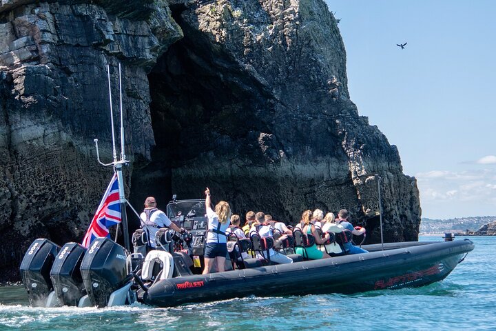 30 Minute Raptor RIB Ride Activity in Torquay
