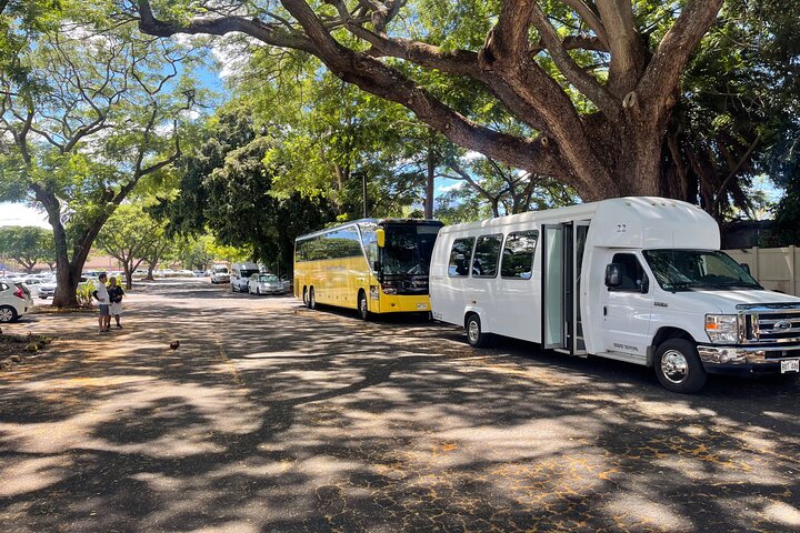 Oahu: Roundtrip Shuttle From Waikiki to Dole Plantation & Haleiwa