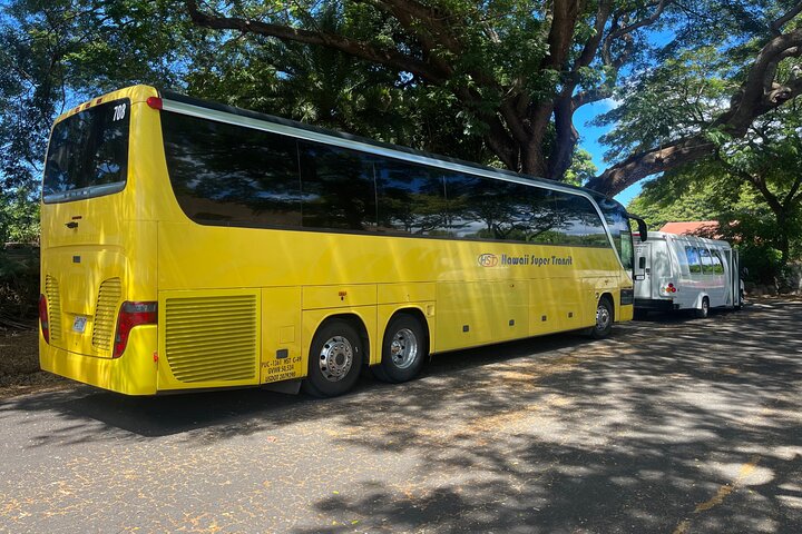 Oahu: Roundtrip Shuttle From Waikiki to Dole Plantation & Haleiwa