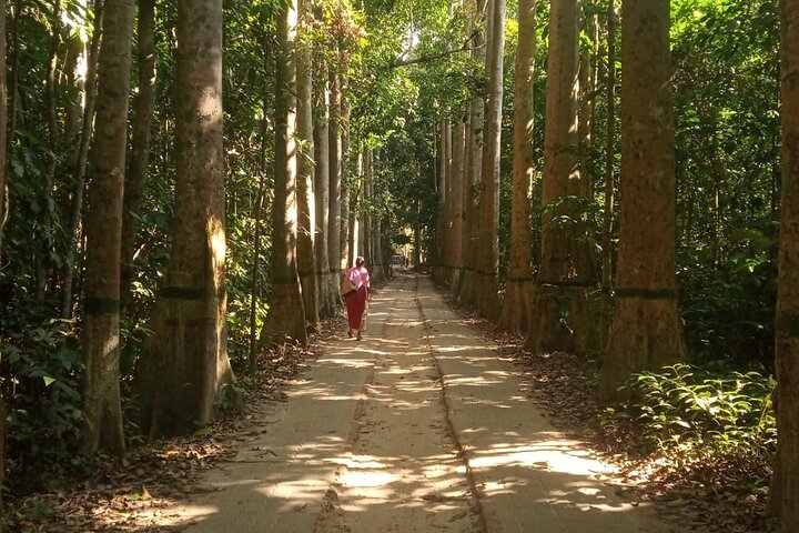 Srimangal nature tour in forest and tea garden