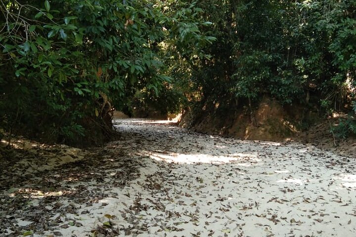 Srimangal nature tour in forest and tea garden