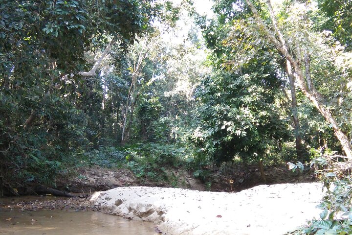 Srimangal nature tour in forest and tea garden