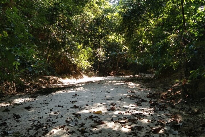 Srimangal nature tour in forest and tea garden