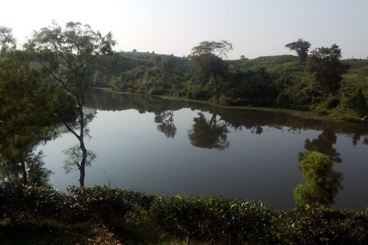 Sreemangal Day Tour to the Most Highlighted Places