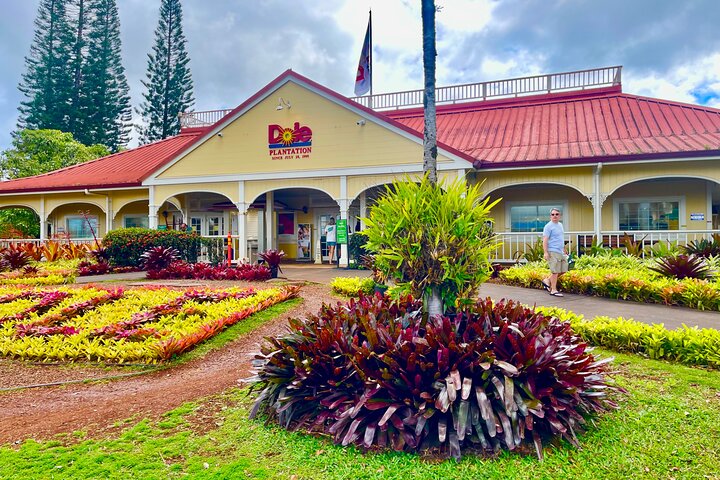 Oahu: Roundtrip Shuttle From Waikiki to Dole Plantation & Haleiwa