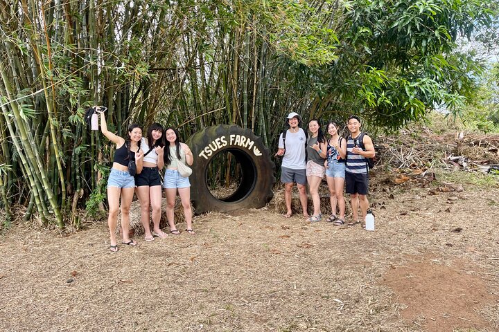 Oahu: Roundtrip Shuttle From Waikiki to Dole Plantation & Haleiwa