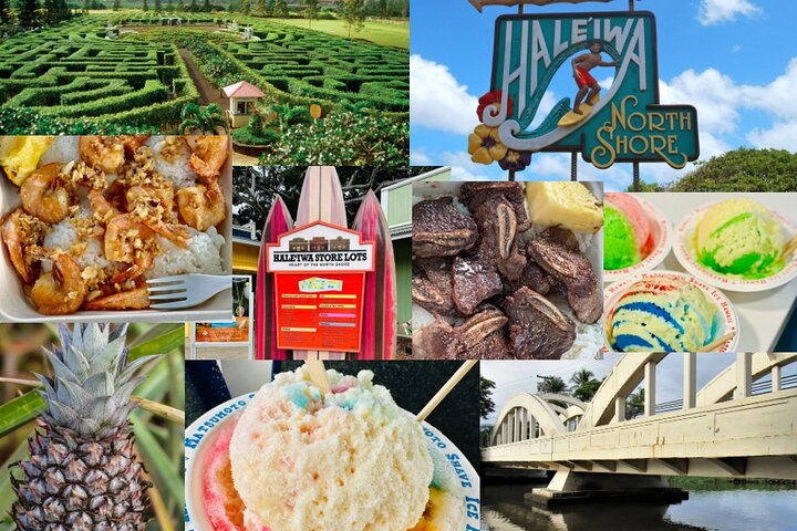 Oahu: Roundtrip Shuttle From Waikiki to Dole Plantation & Haleiwa