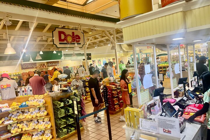 Oahu: Roundtrip Shuttle From Waikiki to Dole Plantation & Haleiwa