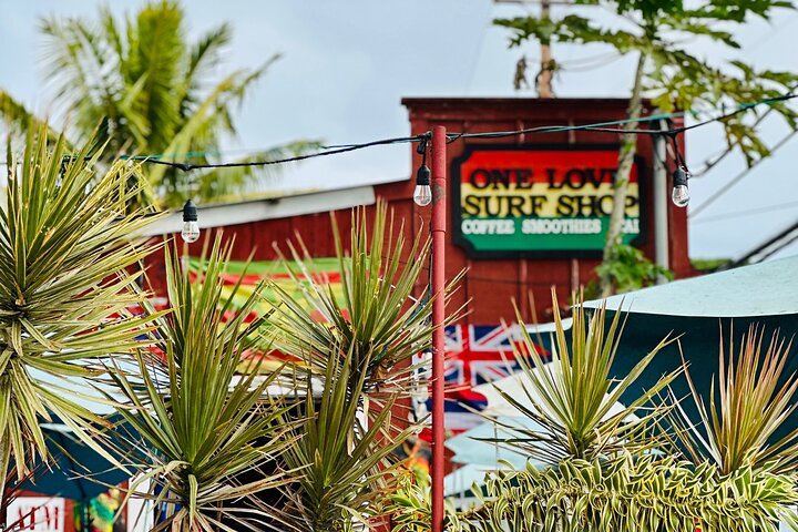 Oahu: Roundtrip Shuttle From Waikiki to Dole Plantation & Haleiwa