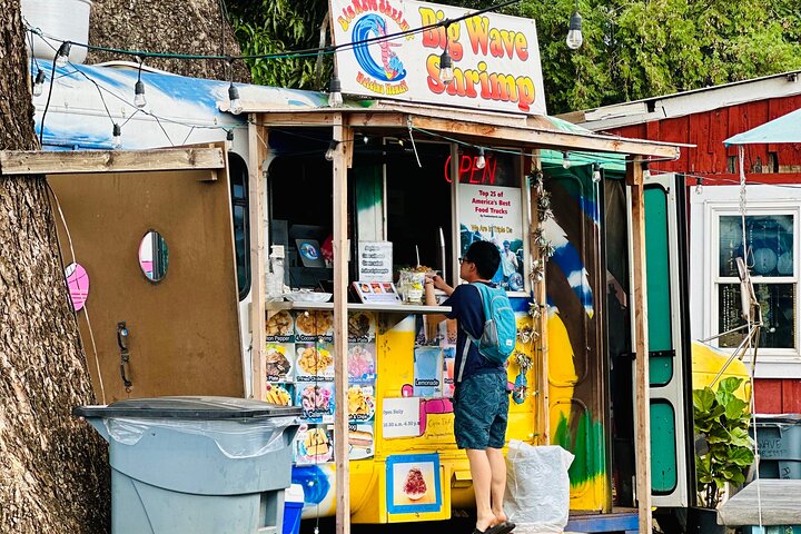 Oahu: Roundtrip Shuttle From Waikiki to Dole Plantation & Haleiwa