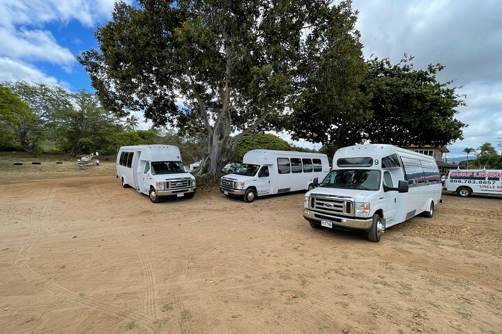 Oahu: Roundtrip Shuttle From Waikiki to Dole Plantation & Haleiwa