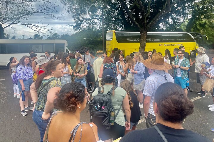 Oahu: Roundtrip Shuttle From Waikiki to Dole Plantation & Haleiwa