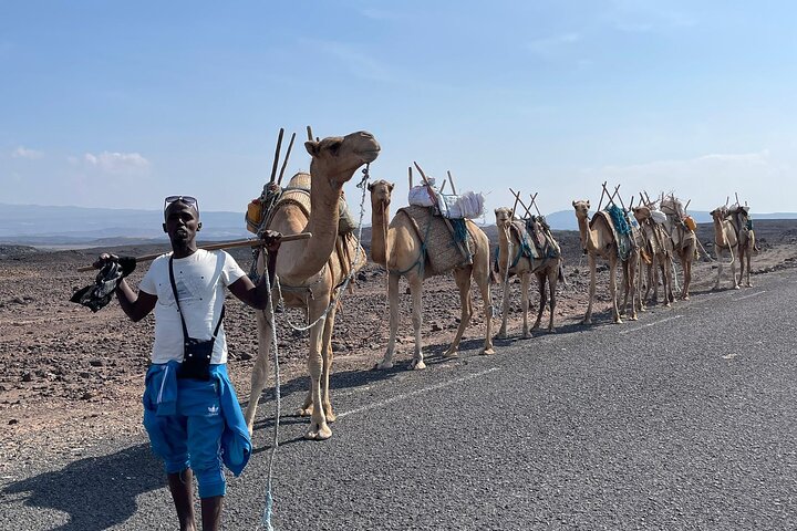 Lake Assal Day Trip from Djibouti