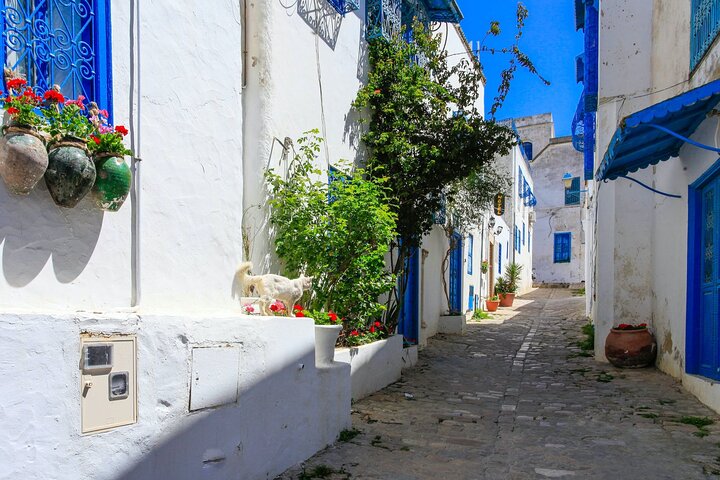 Carthage Ancient Sites and Sidi Bou Said Guided Tour with Lunch
