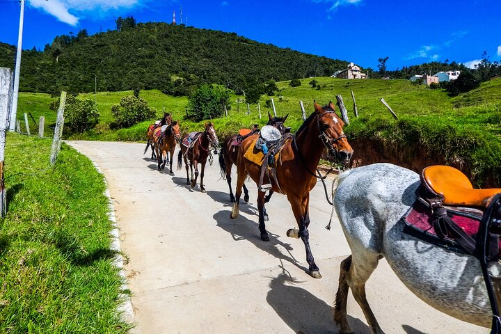 Cocora Valley and Salento Horseback Riding Day Tour