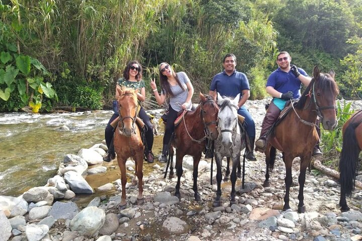 Cocora Valley and Salento Horseback Riding Day Tour