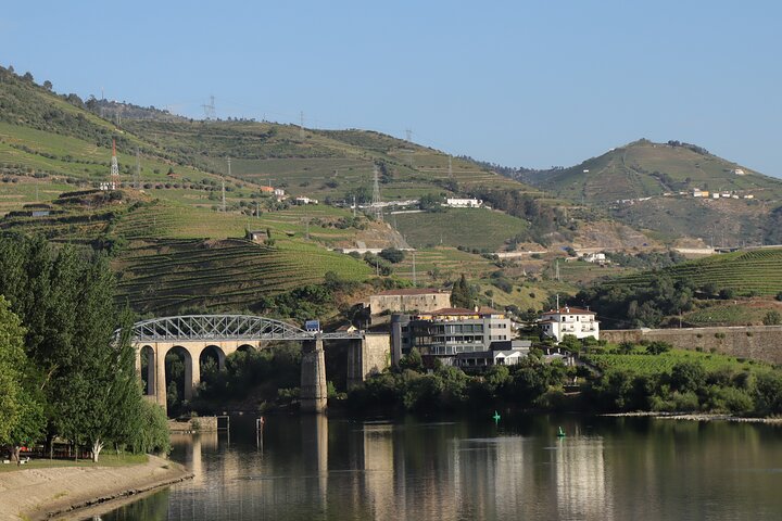 Private tour with 3 wineries with typical harmonized lunch