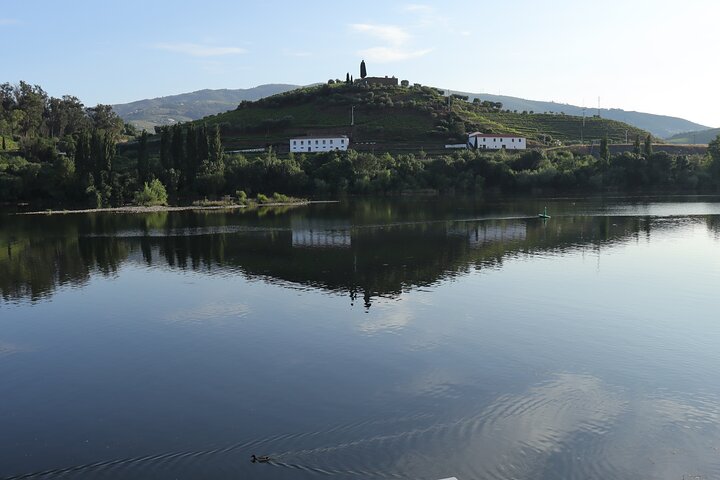 Private tour with 3 wineries with typical harmonized lunch