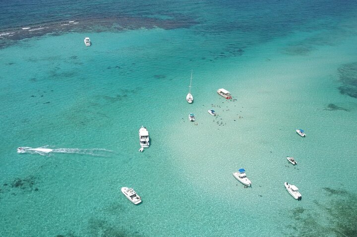 Stingray City and Starfish Experience with Coral Reef Snorkeling
