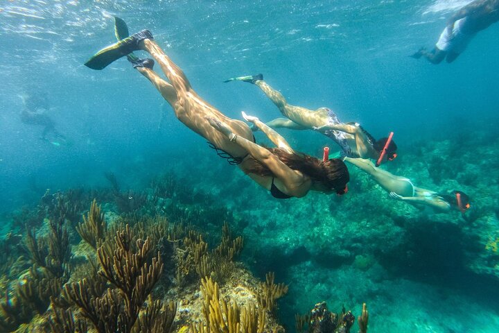Half Day Snorkel from Providenciales with Visit to Half Moon Bay