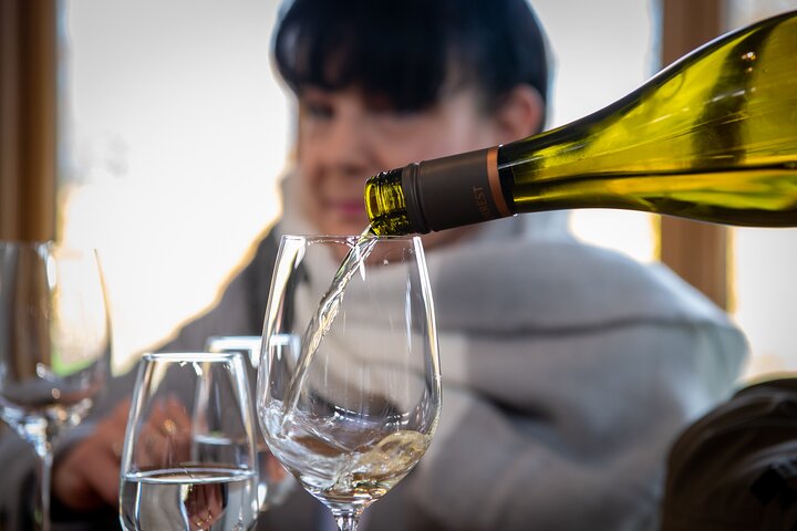 Beyond the Vines - Full-Day Marlborough Wine Tasting Tour