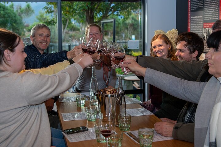 Beyond the Vines - Full-Day Marlborough Wine Tasting Tour