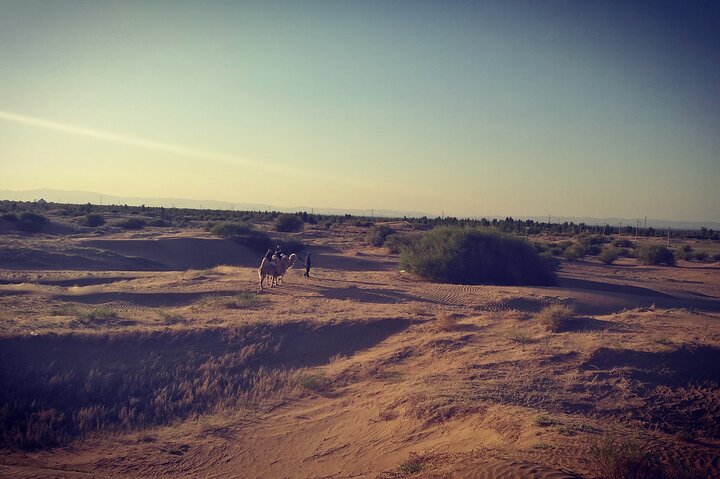 4D3N Huitengxile Grassland Wulanhada volcano Kubuqi Desert Tours