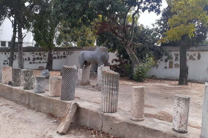 Carthage Ancient Sites and Sidi Bou Said Guided Tour with Lunch