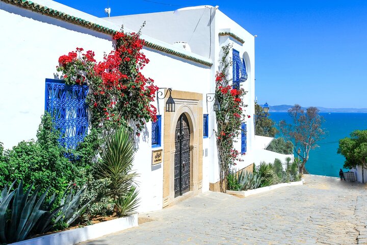 Carthage Ancient Sites and Sidi Bou Said Guided Tour with Lunch