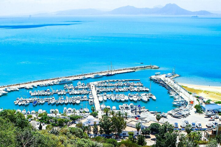 Carthage Ancient Sites and Sidi Bou Said Guided Tour with Lunch