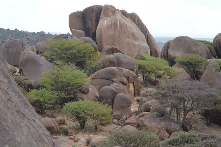 5-Day Mogadishu-Hargeisa Tour(the Africa’s Oldest Cave Paintings)