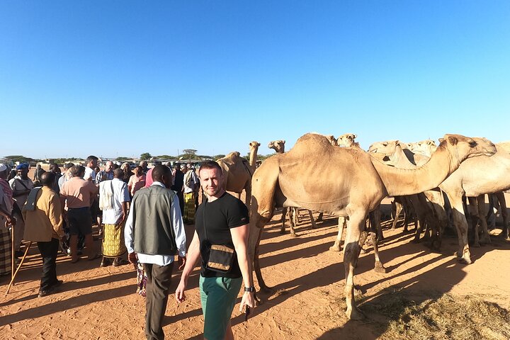 5-Day Mogadishu-Hargeisa Tour(the Africa’s Oldest Cave Paintings)