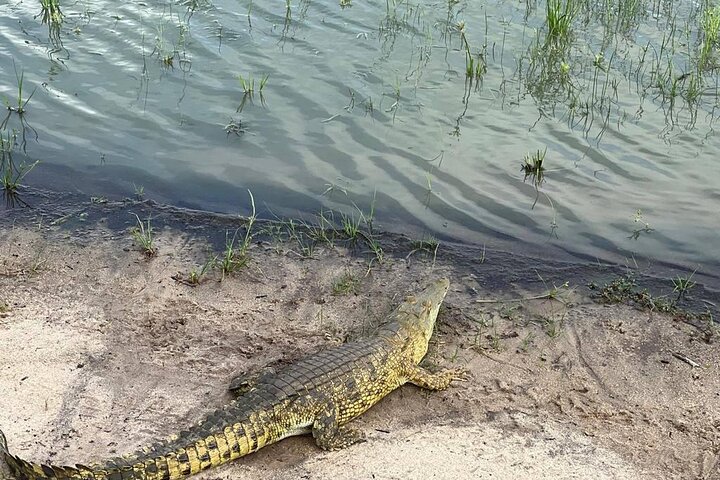 3Days Nyerere National Park Private tour