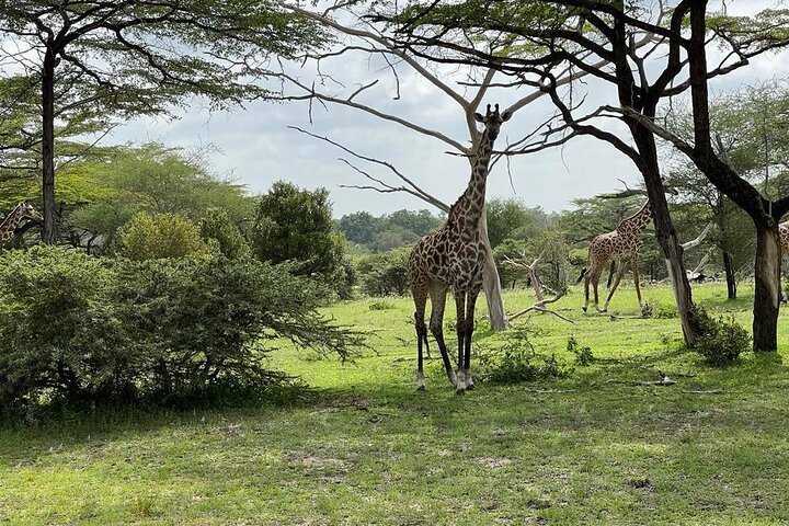 3Days Nyerere National Park Private tour