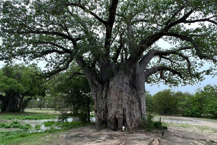 3Days Nyerere National Park Private tour