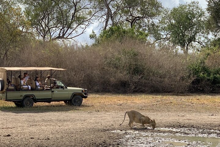 3Days Nyerere National Park Private tour