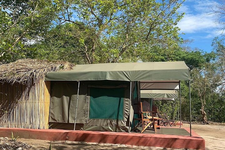3Days Nyerere National Park Private tour