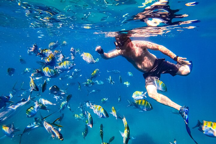 Puerto Vallarta Luxury Yacht Tour: Snorkeling, Open Bar and Lunch