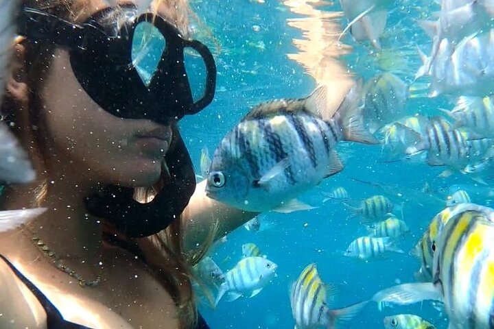 Best Luxury Catamaran Day Sail St Maarten on The Phoenix (Public)