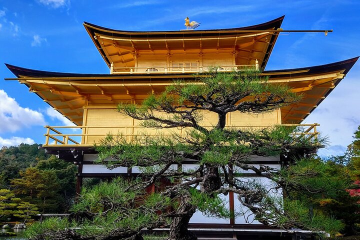 PERFECT KYOTO 1-Day Bus Tour